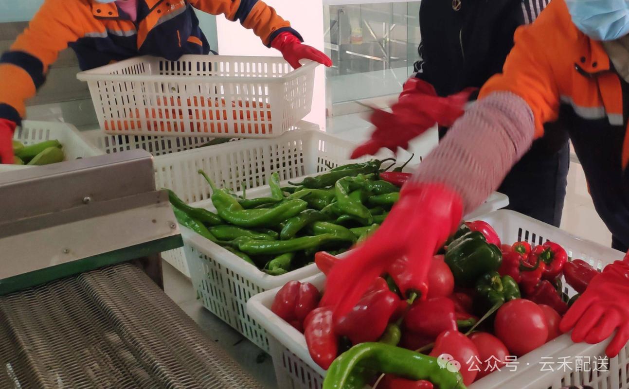 西安餐廳配送公司 專業(yè)生鮮蔬菜副食品供應(yīng)與食品配送服務(wù)